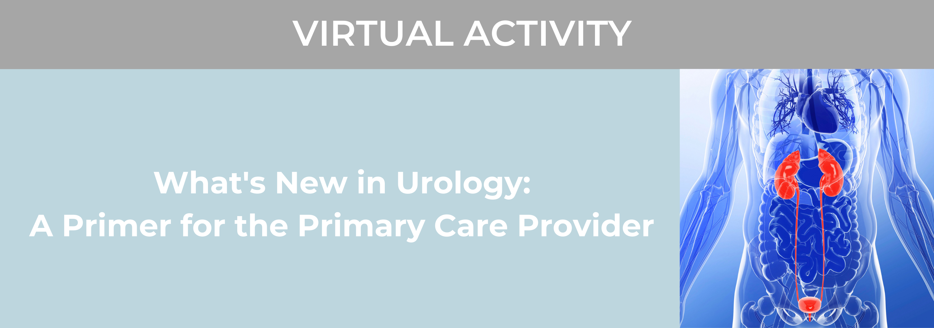 2023 What's New in Urology: A Primer for the Primary Care Provider CME Activity Banner